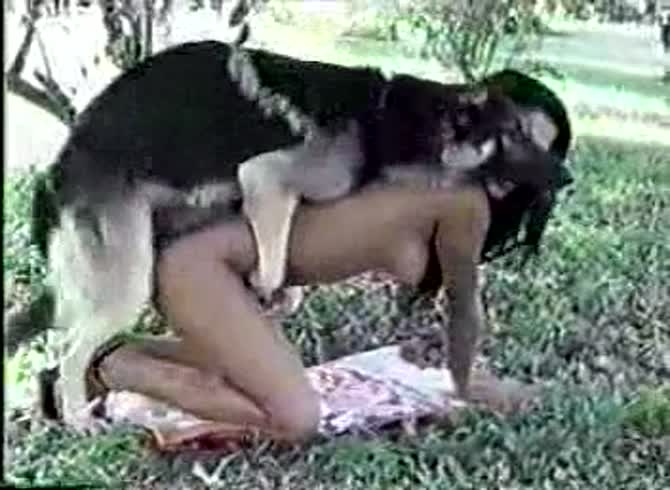 Video :Outdoor dog sex with k9 lady getting smashed
